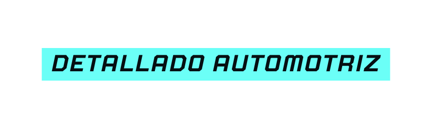 detallado automotriz