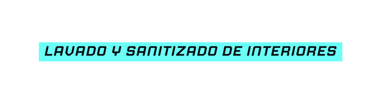 Lavado y sanitizado de interiores